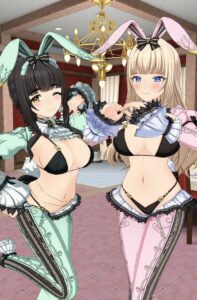【ドルウェブ】バニー 他ドルウェブジオラマまとめ 【X(twitter)】
